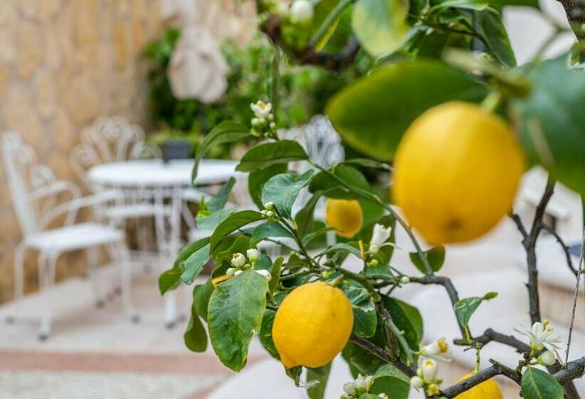 New Casa Ilaria Close To Center