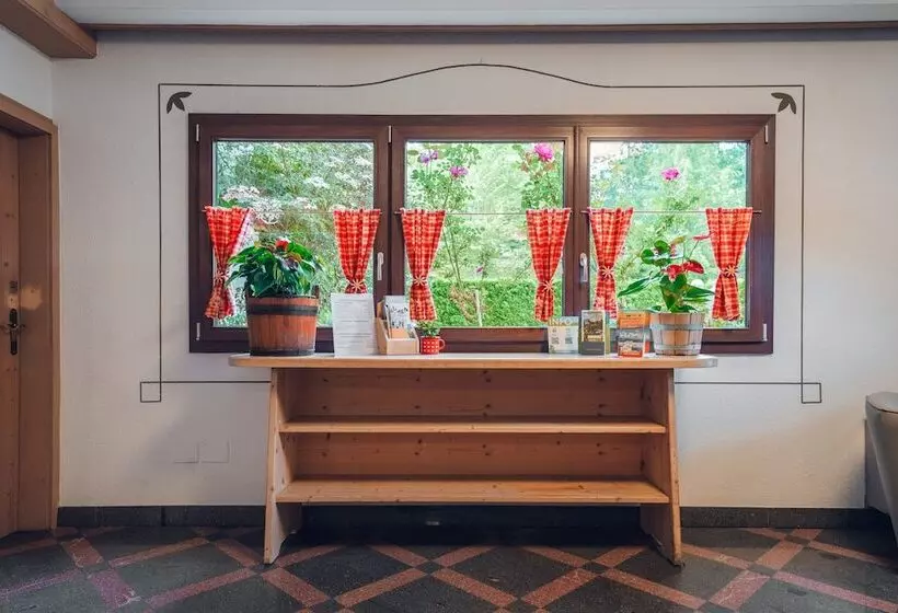 Aparthotel Des Alpes