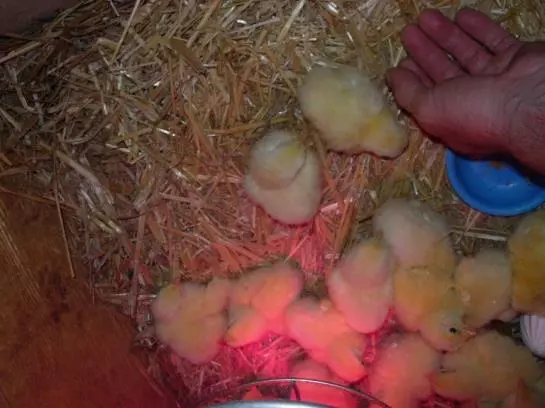 هتل Ferienwohnungen Mittermoos