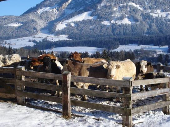 فندق Ferienwohnungen Mittermoos