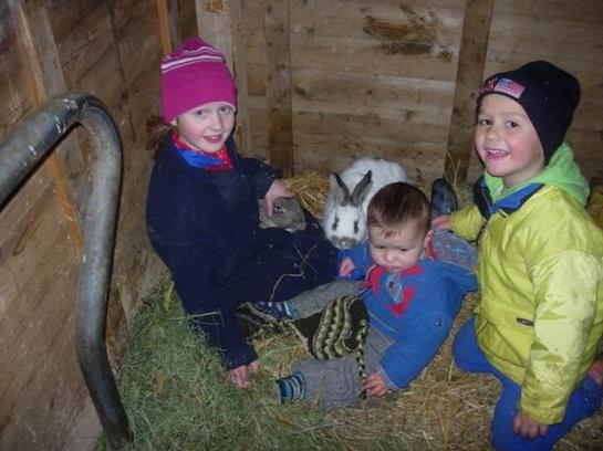 فندق Ferienwohnungen Mittermoos