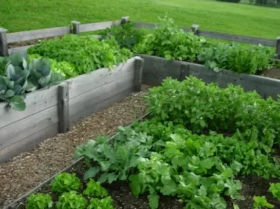 هتل Ferienwohnungen Mittermoos