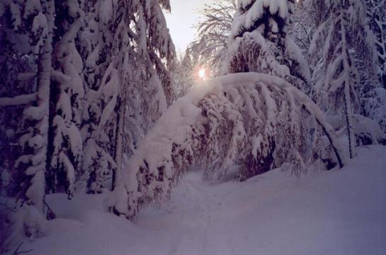 فندق Ferienwohnungen Mittermoos