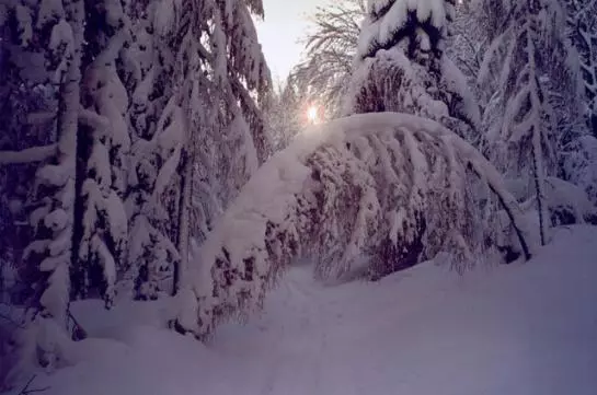 هتل Ferienwohnungen Mittermoos