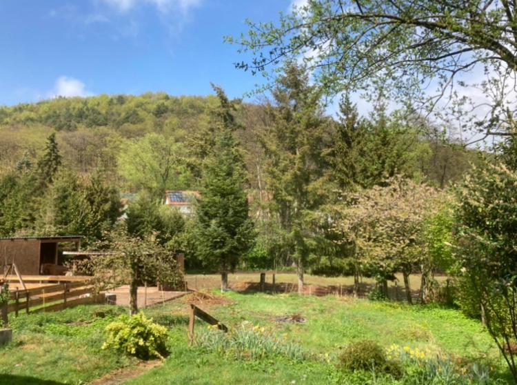 Ferienwohnung Am Schönbach