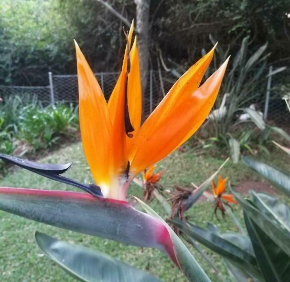 Luxury Room Sielevreugde