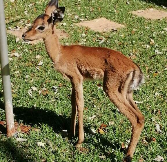 Luxury Room Sielevreugde