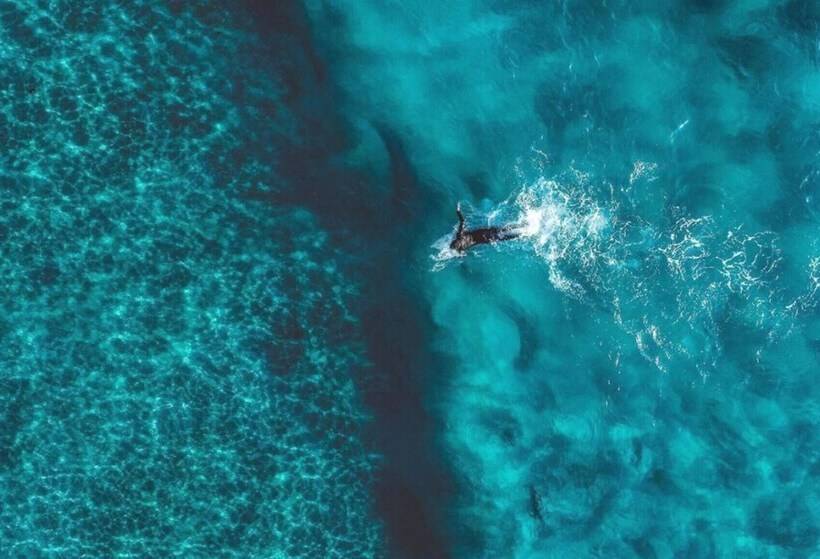 Ti Baz Beach House With Mountain View