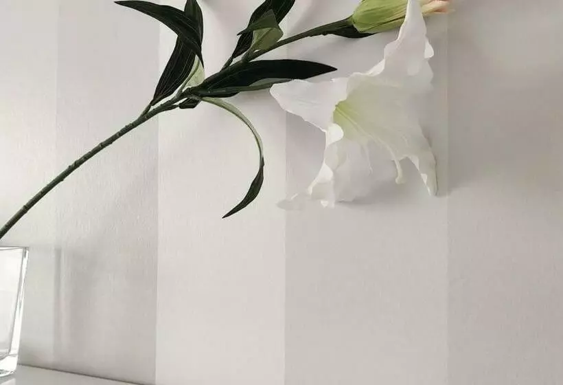 Kaunis Ja Tilava Kaksio