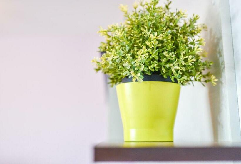 Casa Tamai, Ideal Para Familias En El Centro De La Isla