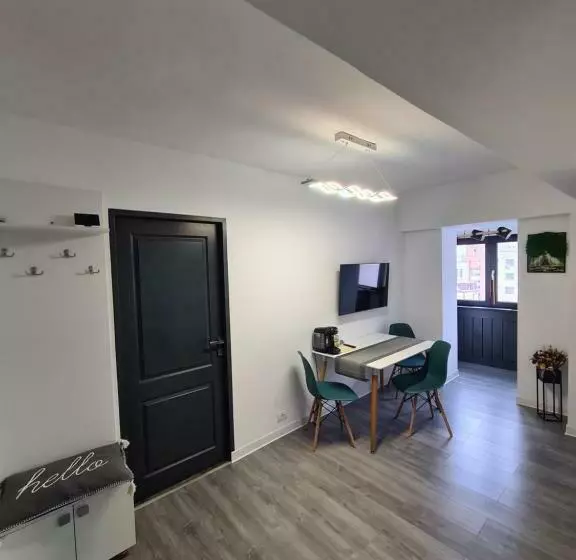 Central Apartment