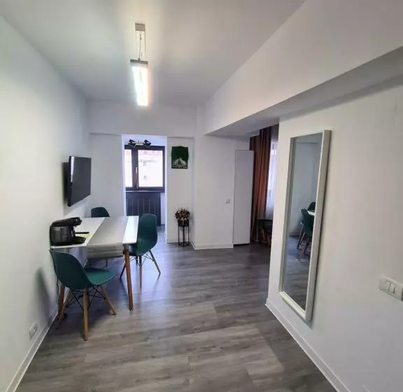 Central Apartment