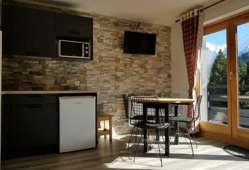 Appartement Saint Gervais Les Bains Piscine Et Vue Imprenable Mont Blanc