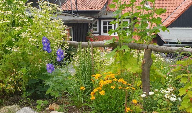 Ferienwohnung Zur Ellernmühle