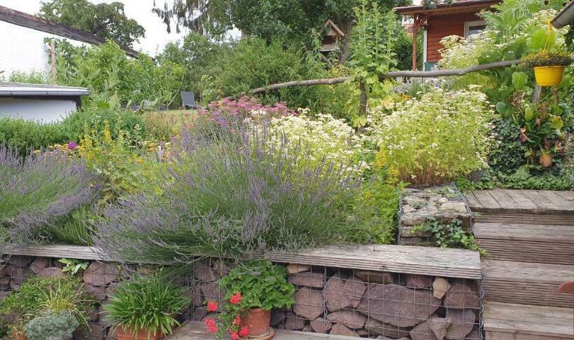 Ferienwohnung Zur Ellernmühle