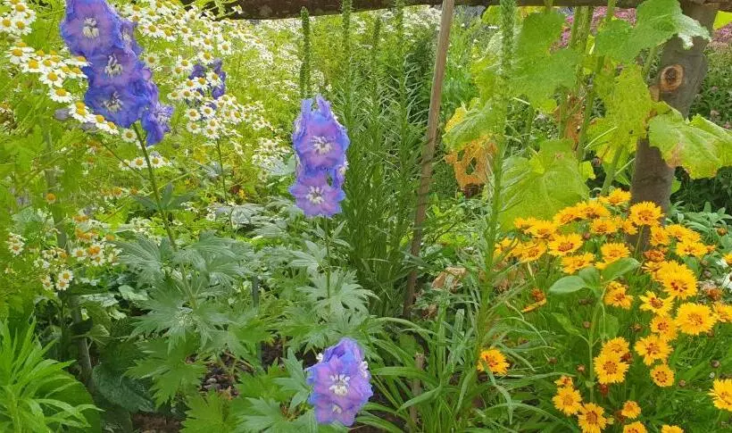 Ferienwohnung Zur Ellernmühle
