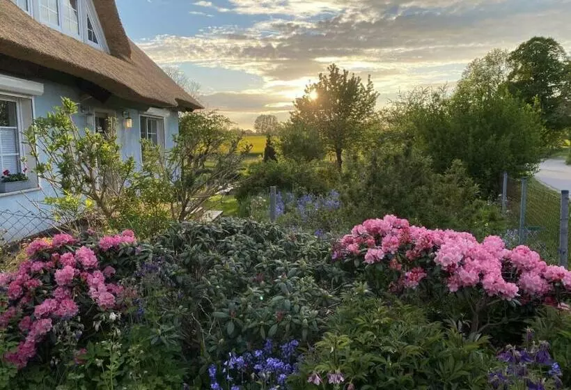 Reethaus Vilmnitz   Ferienwohnung Vilm