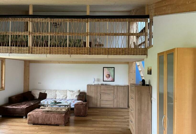 Ferienwohnung Ballon Im Allgäu