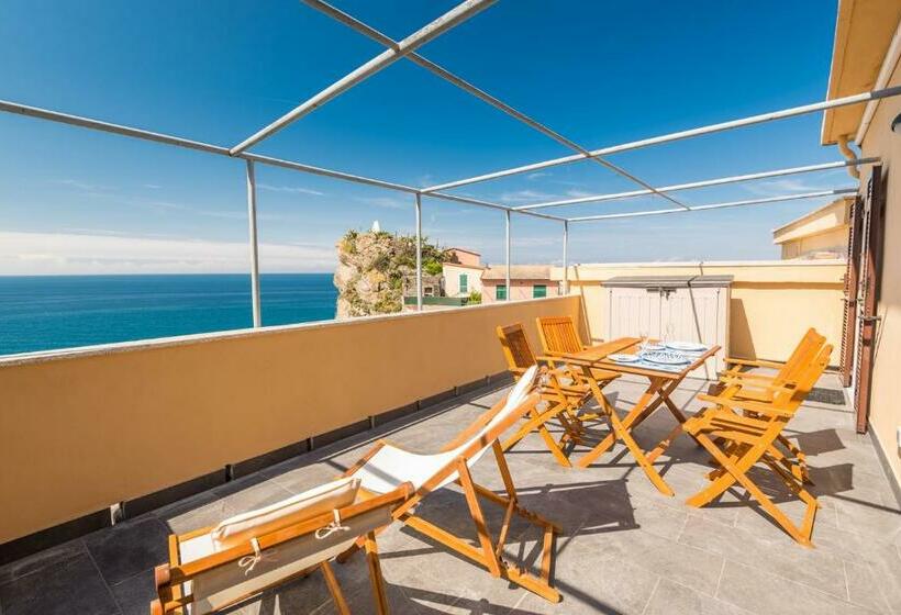 Queen Of Sea Diamond, Terre Marine