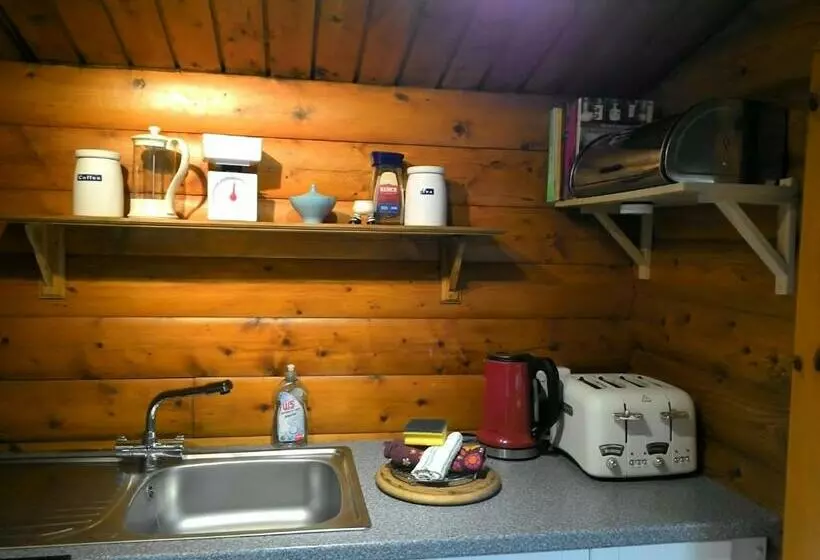 Shifty Chicken Shack