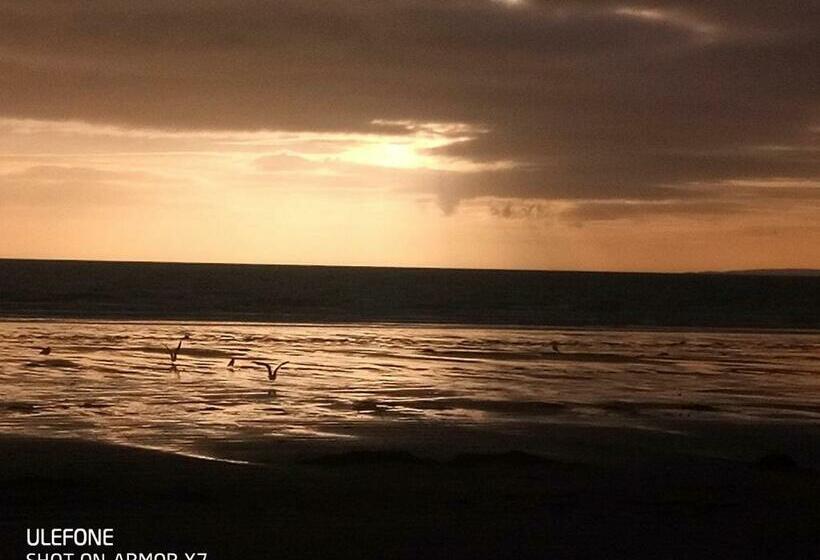 Shifty Chicken Shack