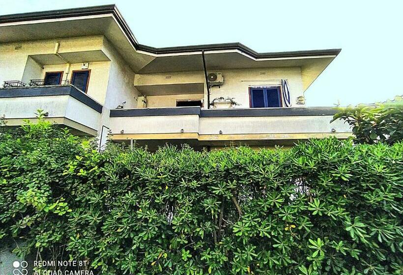 Tra Puccini Ed Il Mare