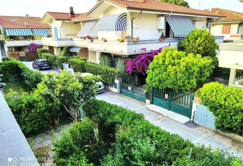 Tra Puccini Ed Il Mare