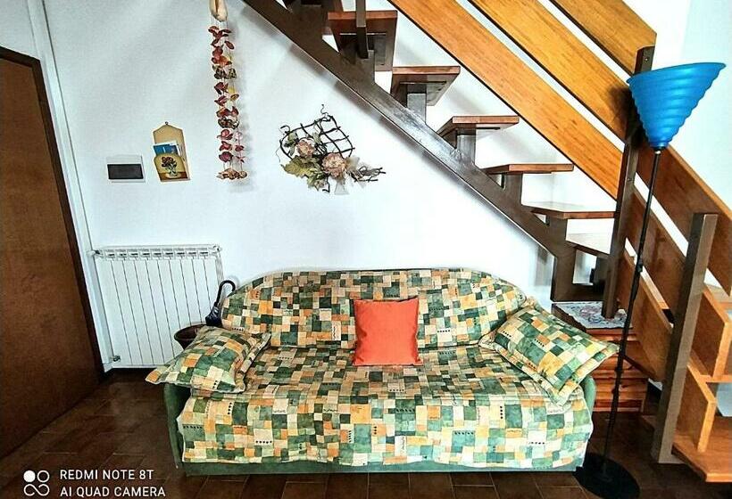 Tra Puccini Ed Il Mare