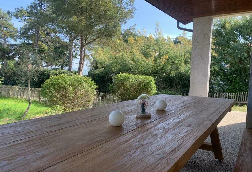 Villa 30metres Bassin L’herbe Cap Ferret