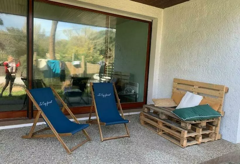 Villa 30metres Bassin L’herbe Cap Ferret