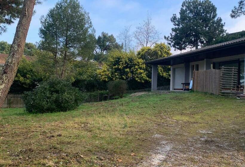 Villa 30metres Bassin L’herbe Cap Ferret