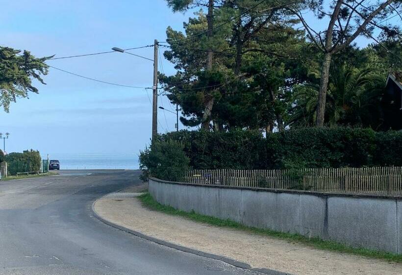 Villa 30metres Bassin L’herbe Cap Ferret