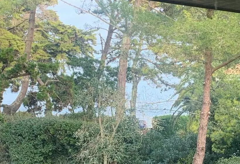 Villa 30metres Bassin L’herbe Cap Ferret