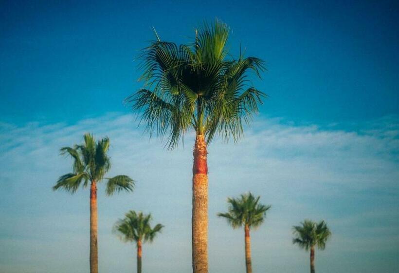 Apartmán Marcella, Cumbre Del Sol