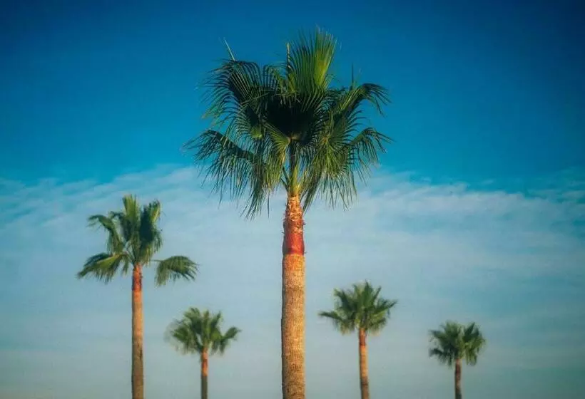 Apartmán Marcella, Cumbre Del Sol