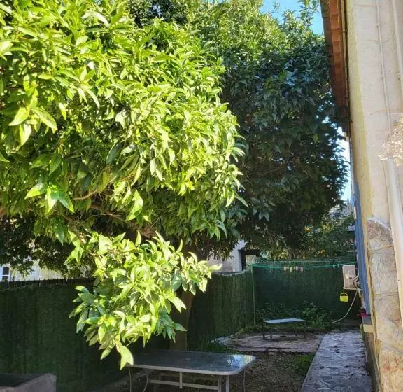 Clémentine