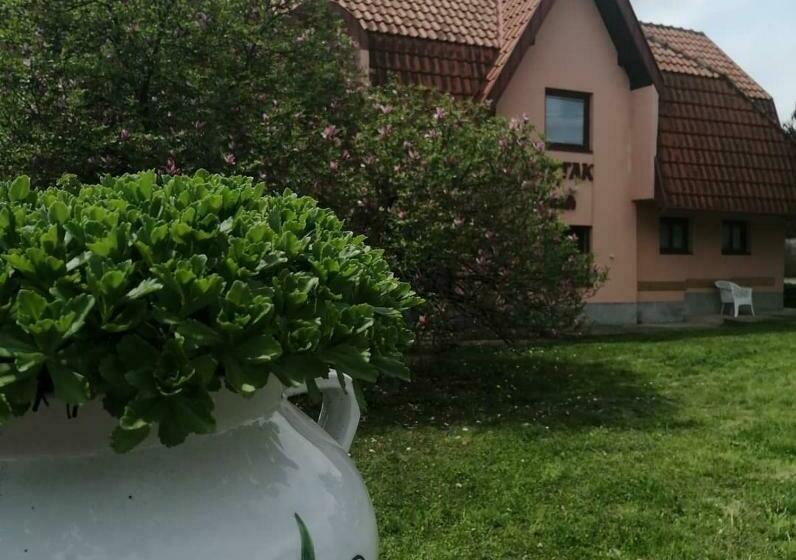 Apartman Kutak Nešić