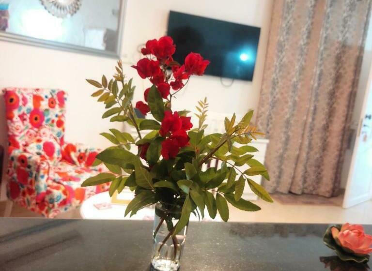 Green Garden Compound Hurgharda Poolside Luxury Ground Level Apartment 127