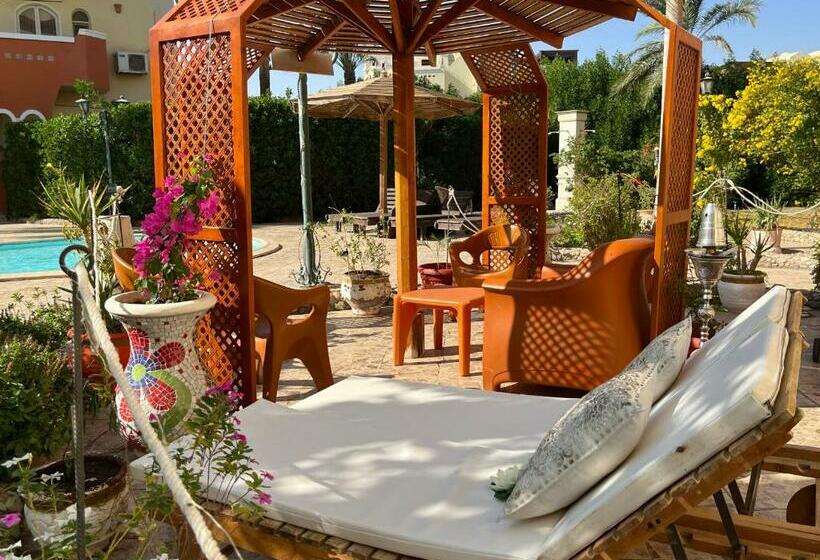 Green Garden Compound Hurgharda Poolside Luxury Ground Level Apartment 127