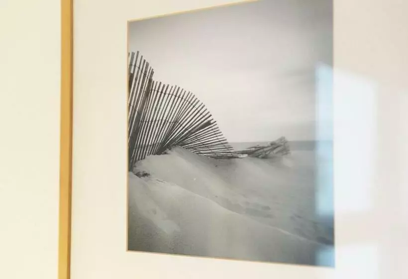 Tamarisk Port Isaac Bay Holidays