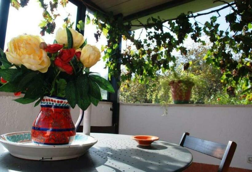 Casa Galatea Etna Nord Via Bellini 141 Milo