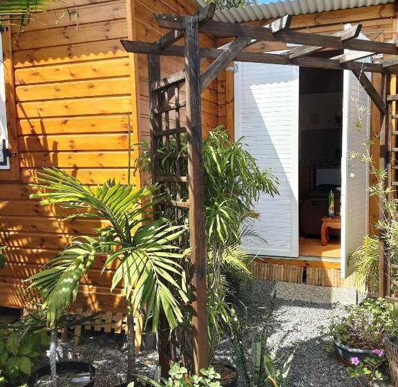 Appartement D Une Chambre Avec Jardin Clos Et Wifi A Saint Joseph