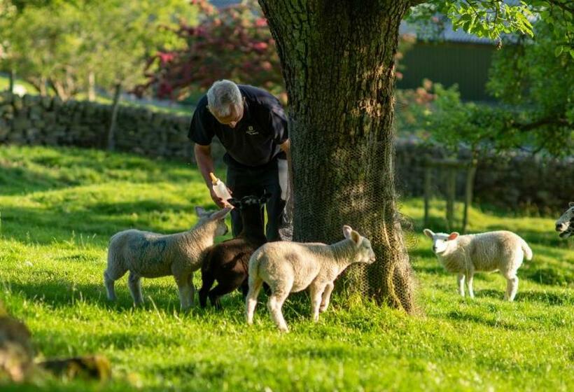 Hillside Haven, Panoramic Views Nr Bakewell