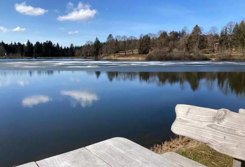 Hahnenklee Charme   Moderne Neue Ferienwohnung Mit 2 Balkons