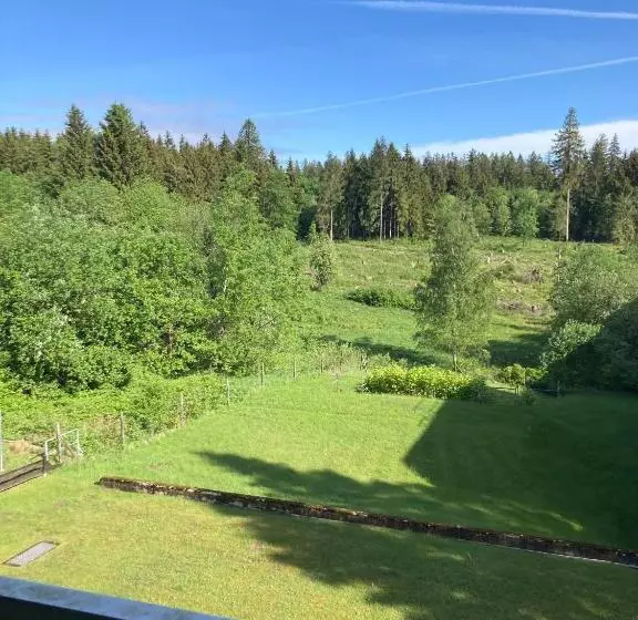 Hahnenklee Charme   Moderne Neue Ferienwohnung Mit 2 Balkons