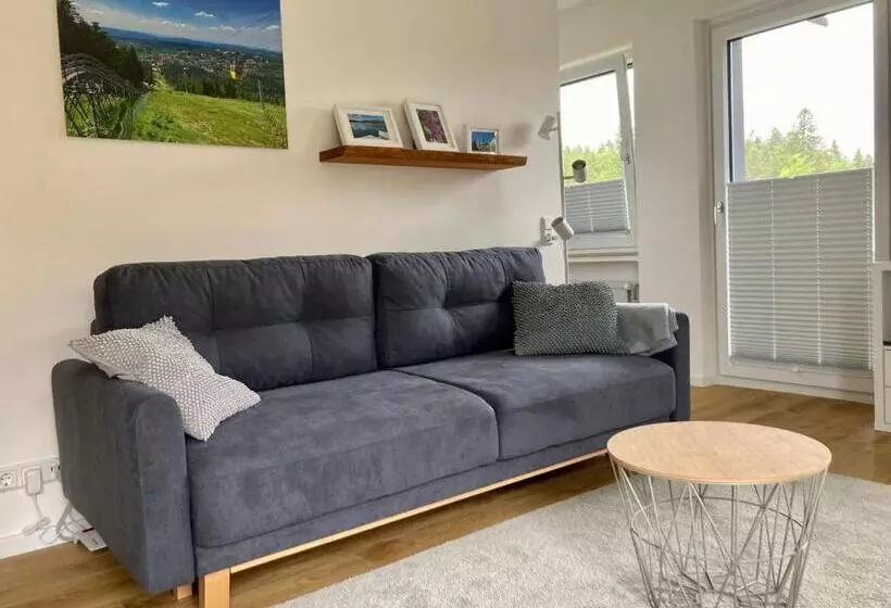 Hahnenklee Charme   Moderne Neue Ferienwohnung Mit 2 Balkons