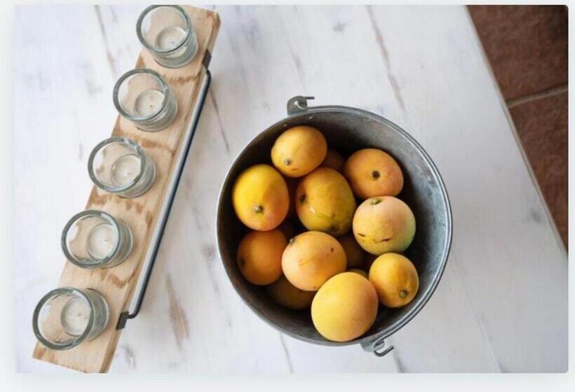 Villa Petronila Tías, Lanzarote