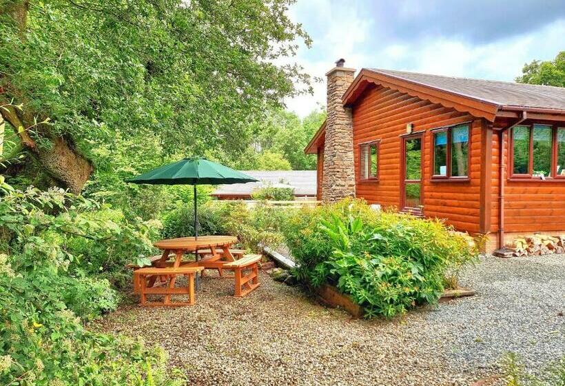 Wnion Wood Lodge With Log Burner & Sauna In Snowdonia