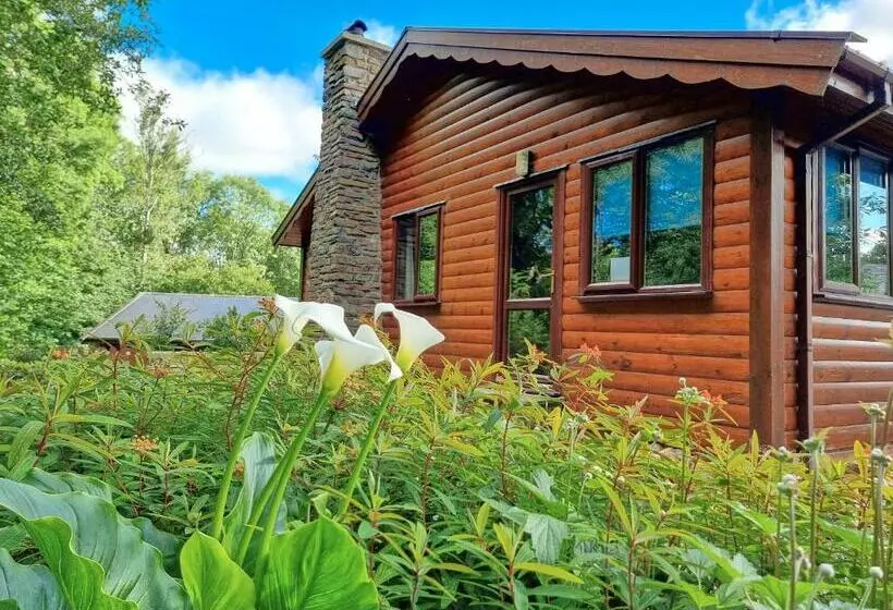 Wnion Wood Lodge With Log Burner & Sauna In Snowdonia