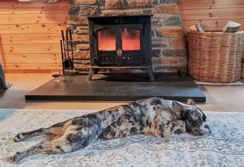 Wnion Wood Lodge With Log Burner & Sauna In Snowdonia